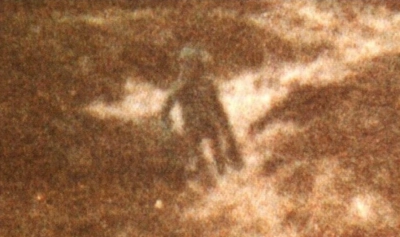 content-image