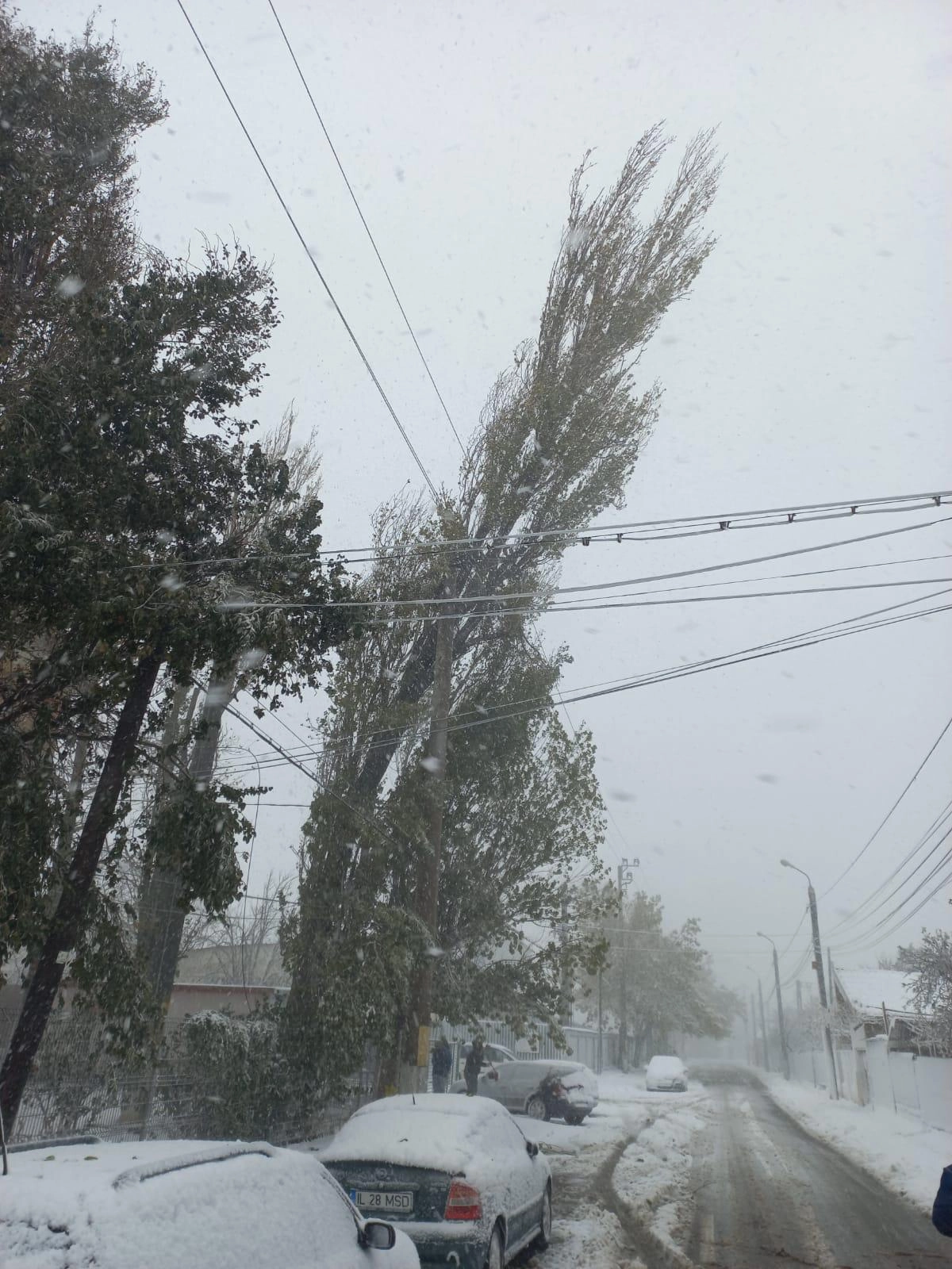 Meteorologii ANM au emis 5 avertizări de Cod portocaliu de ninsori, furtuni și viscol/ Harta zonelor vizate