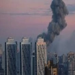 Article thumbnail