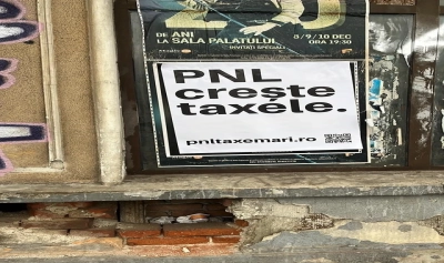 content-image