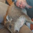 Article thumbnail