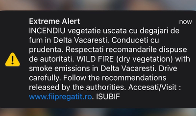 content-image