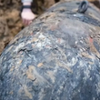 Article thumbnail