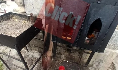 content-image