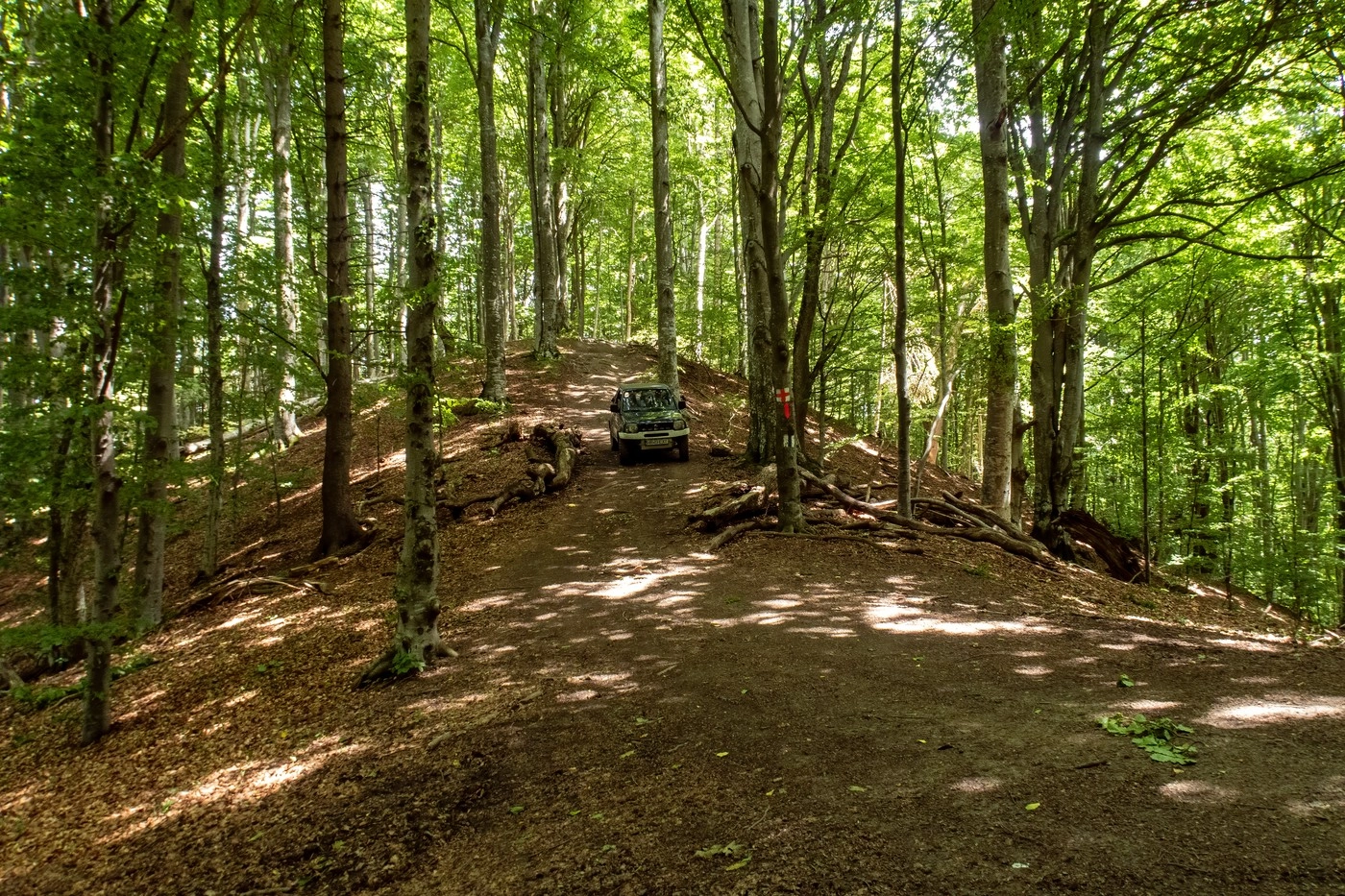 România și Republica Moldova plantează o pădure comună la Vama Sculeni