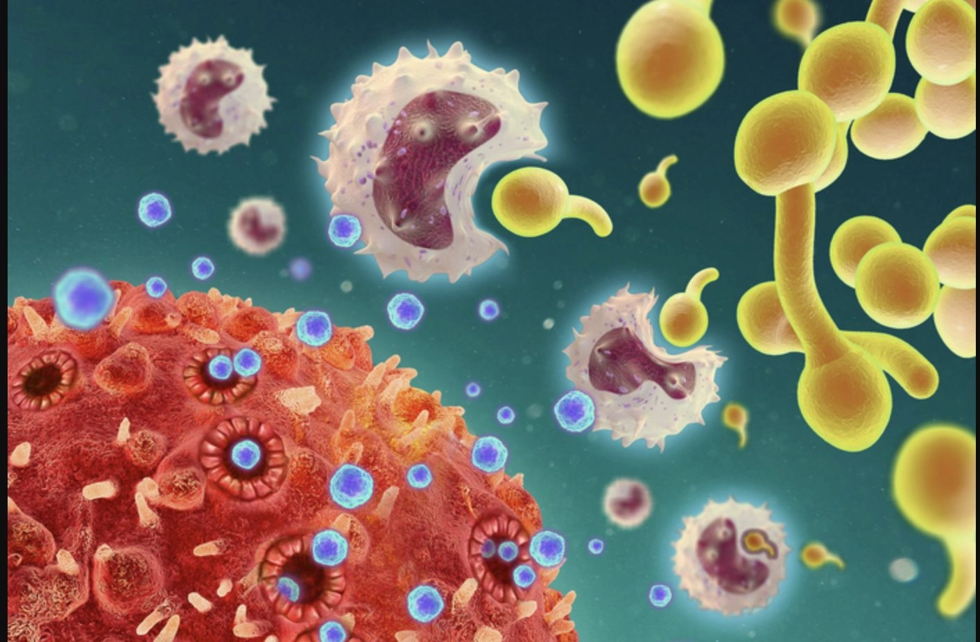Un raport extrem de complex ne dezvăluie o criză uriașă a omenirii: Antibioticele nu mai rezolvă probleme considerate banale.