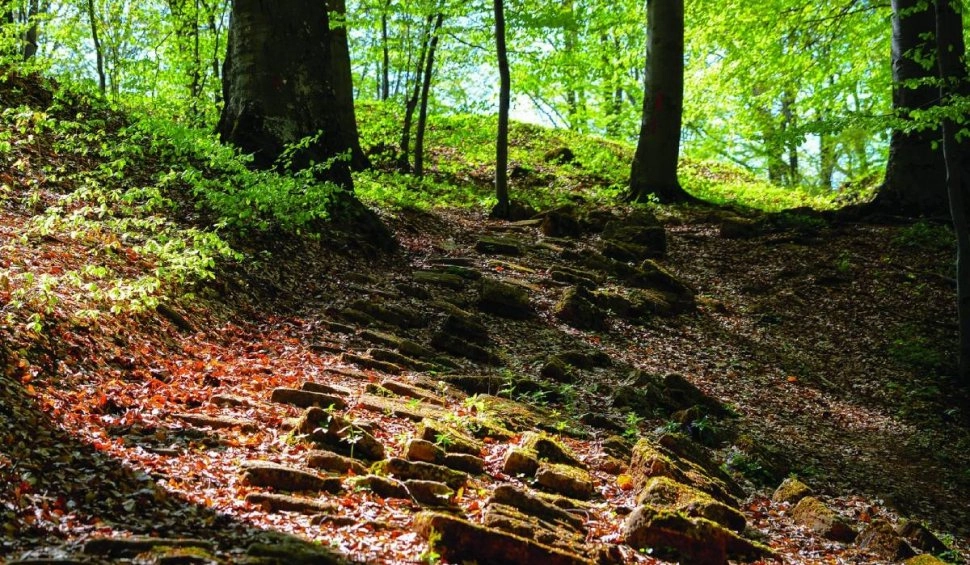 O aşezare de tip Sântana de Mureş-Cerneahov, descoperită în apropierea castrului roman Buridava