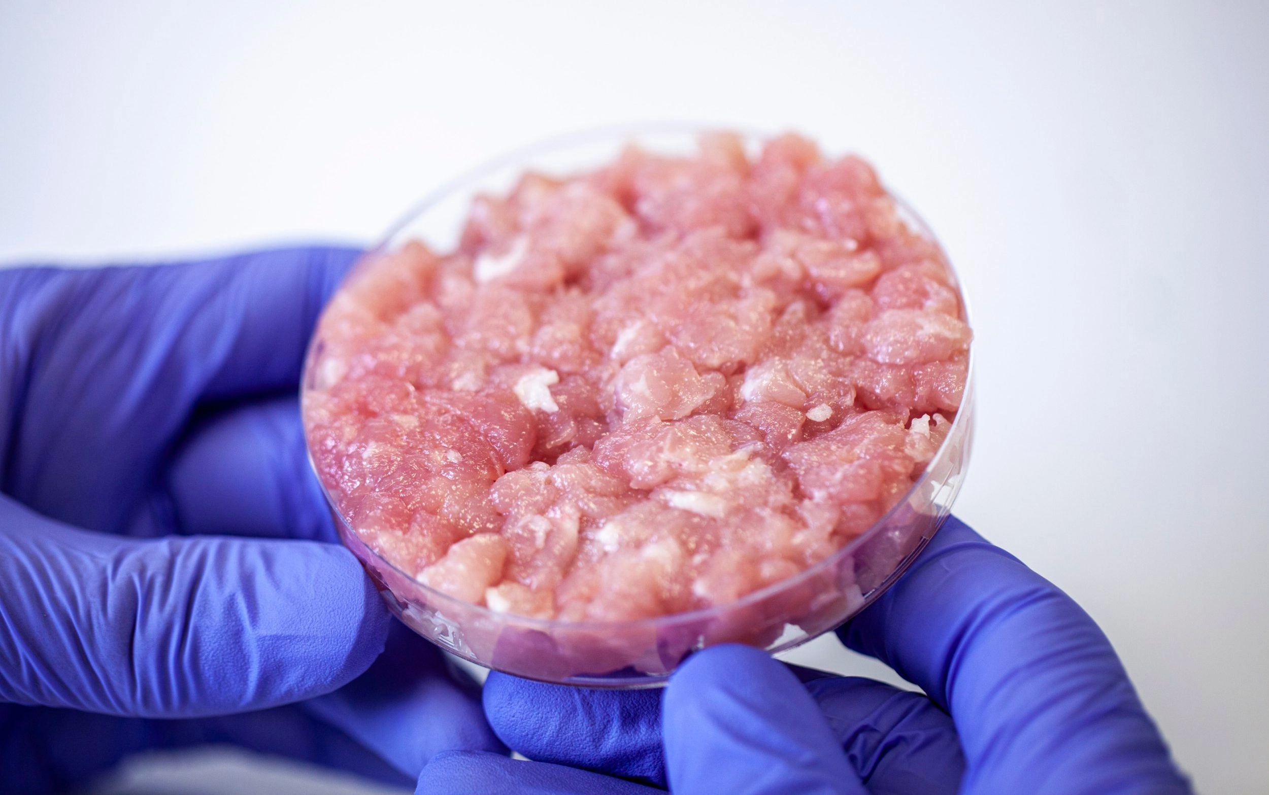 Interdicție totală în Ungaria pentru carnea artificială: Nici producție, nici vânzare