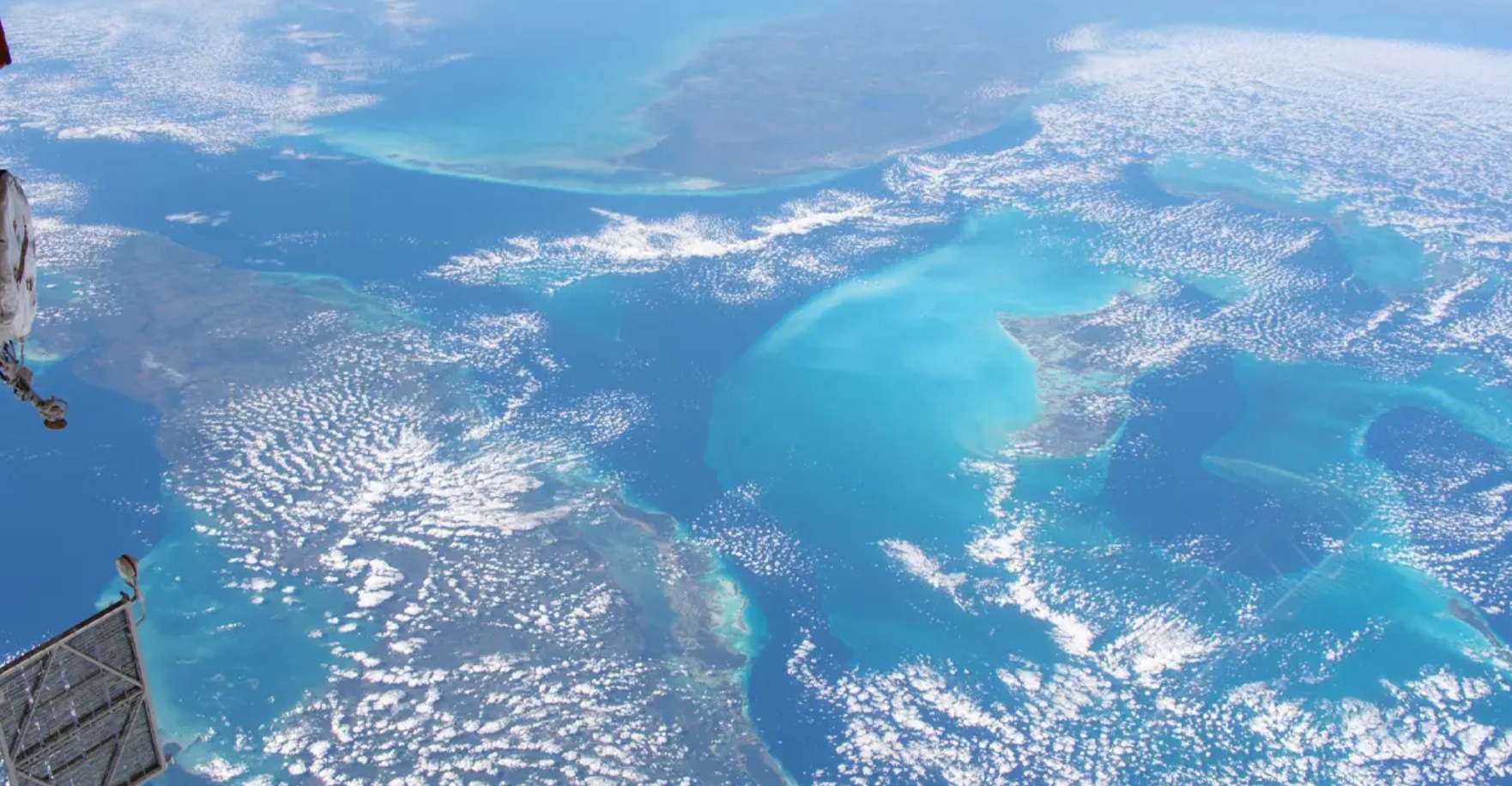 Intrarea în vigoare a Tratatului privind mările libere inaugurează o nouă eră în gestionarea oceanelor, consideră WWF