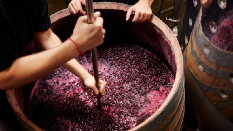 Pompierii dau alerta: risc de intoxicație cu gaze în timpul fermentării mustului