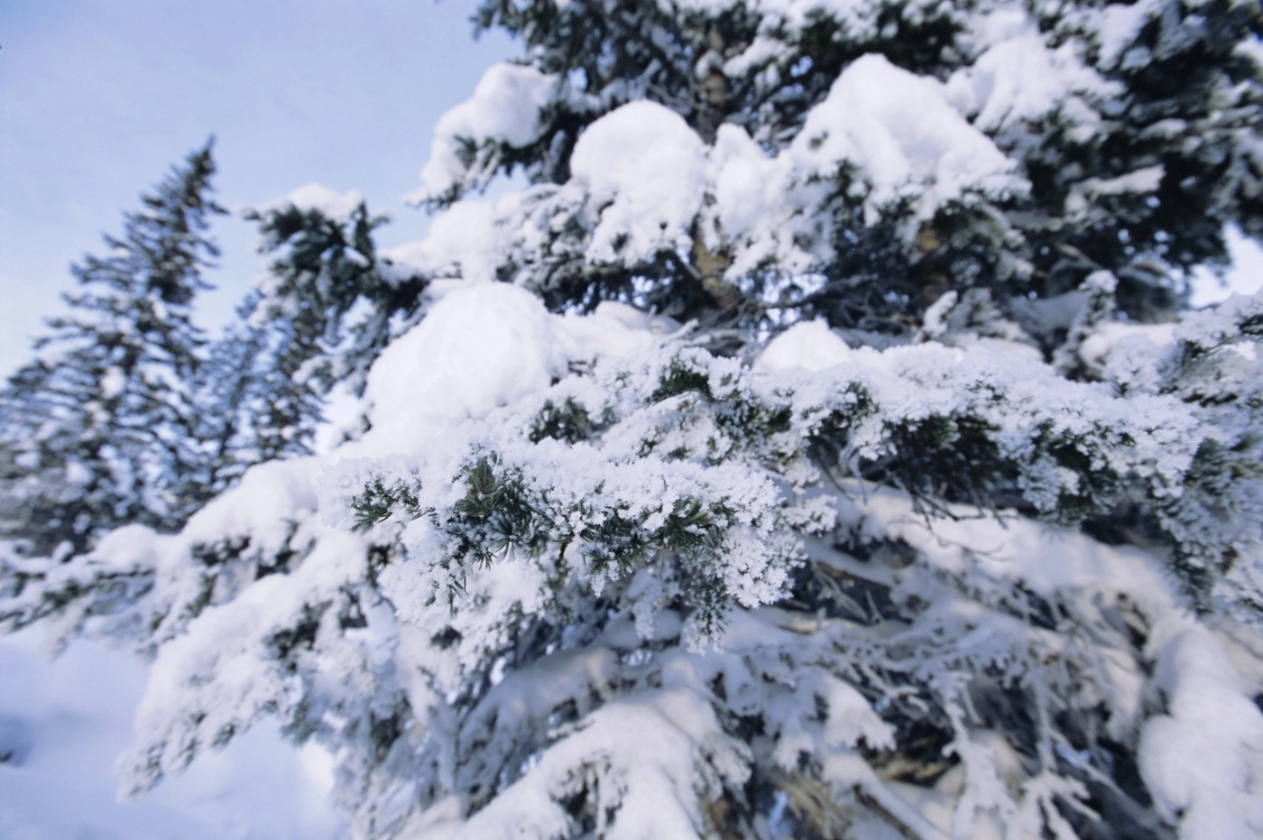 Troiene de peste 80 centimetri şi posibile avalanşe în munţii Făgăraş şi Bucegi