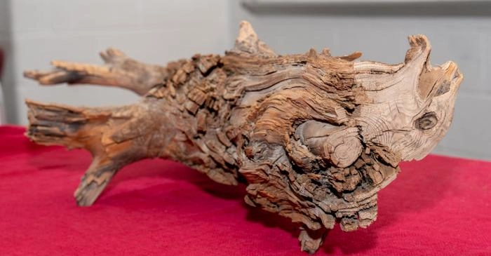 Oamenii de știință au creat „Superwood”, un lemn de 10 ori mai rezistent decât oțelul