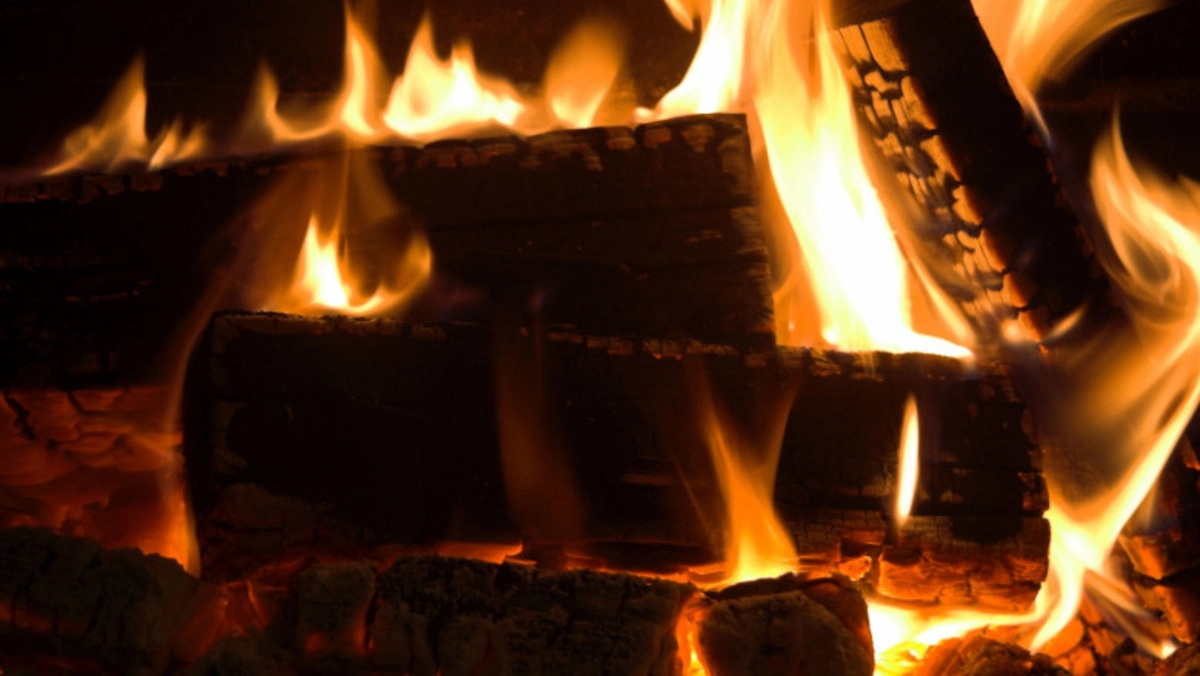 Pregătiri pentru sezonul rece: Romsilva anunță cantități record de lemn pentru iarna 2025