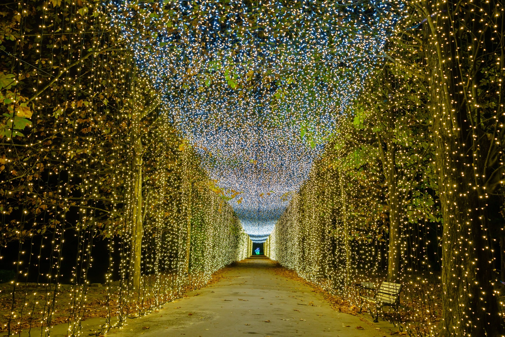 A cincea ediţie a Festivalului Luminilor din Sofia va avea loc între 1 şi 22 martie