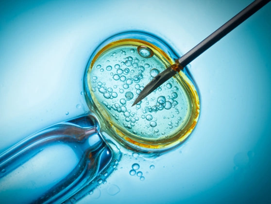 O companie este acuzată că pregătește clone umane în care beneficiarii bolnavi își vor muta creierul