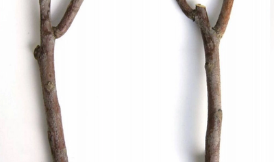 Article thumbnail