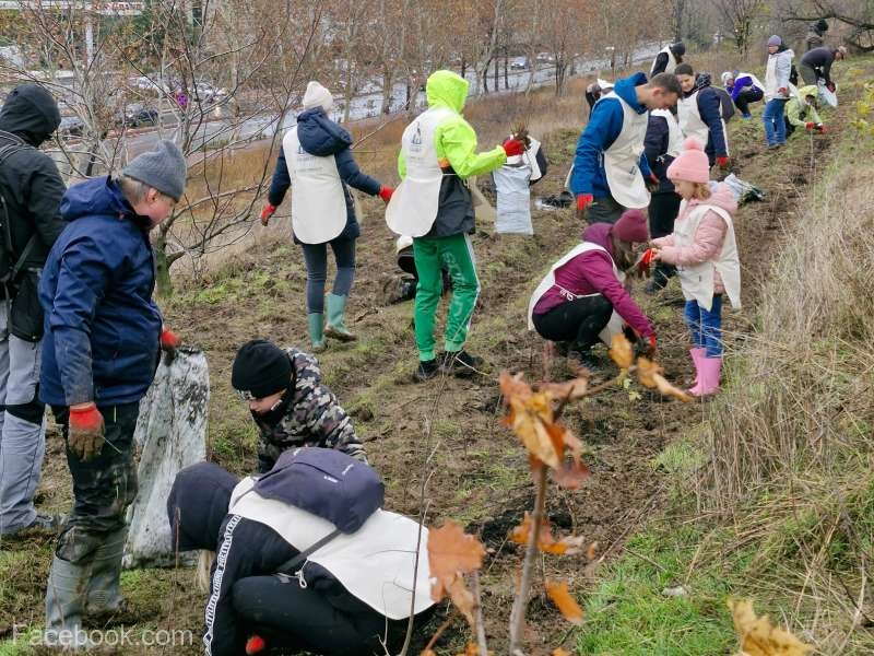 Peste 1.300 de voluntari, copii şi adulţi, au plantat 25.000 de puieţi în satul bihorean Păuşa