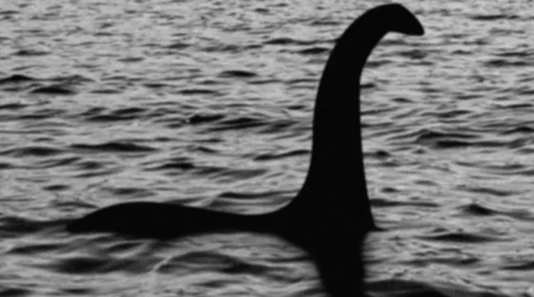 O nouă apariție a monstrului din Loch Ness. A fost văzut pentru a cincea oară anul acesta