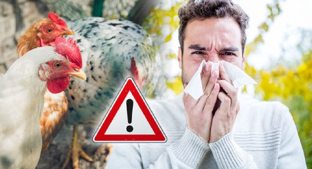 Aproape 85.000 de cazuri de infecţii respiratorii, raportate în săptămâna 6-12 octombrie - INSP