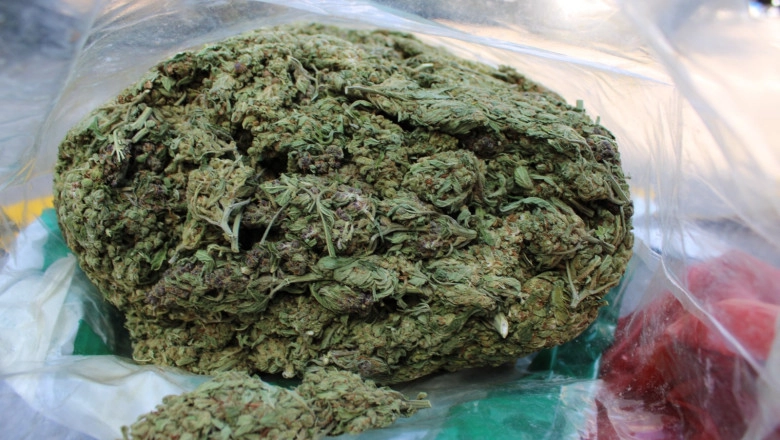 Doi bărbați reținuți de DIICOT pentru trafic de droguri. 14 kilograme de canabis aduse din Spania