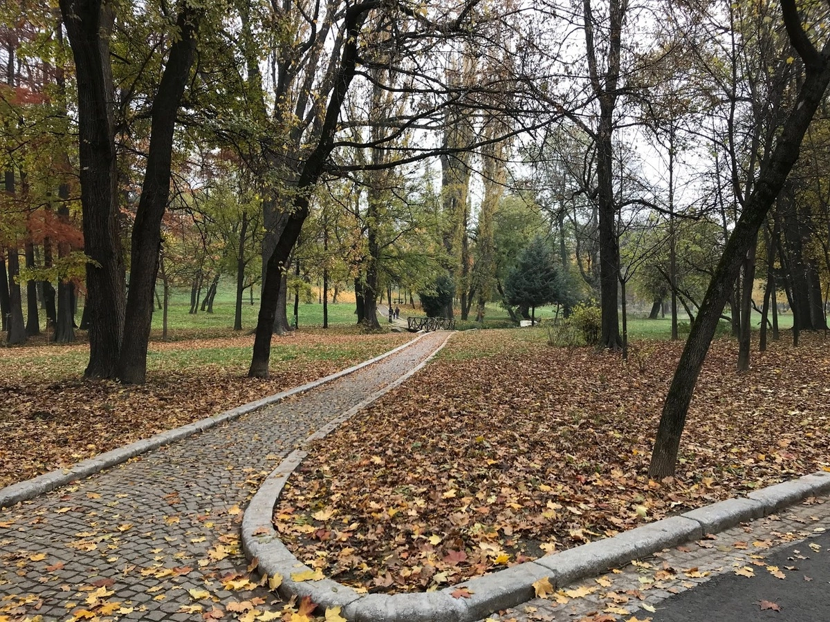 Două parcuri din Sectorul 1 intră în 'reparații': 'Henri Coandă' devine spațiu multifuncțional, 'Regina Maria' se reamenajează