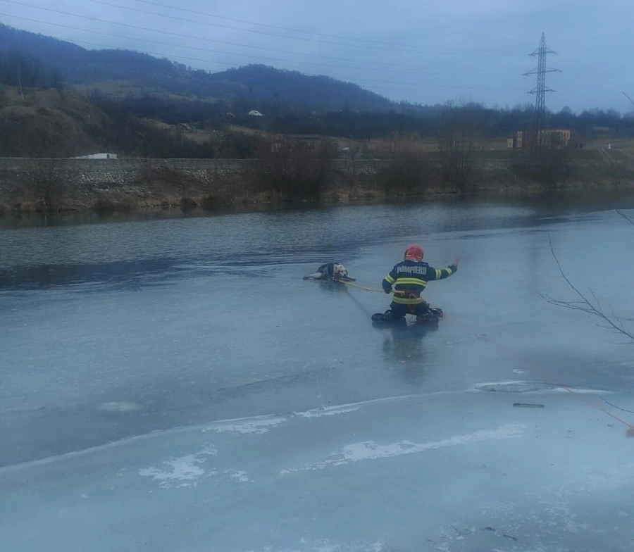 Bărbat căzut sub gheața râului Mureș, salvat de un pompier scafandru