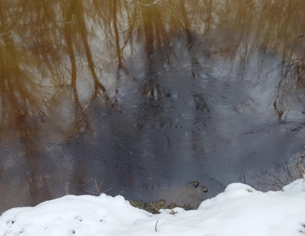 Fundaţia Comunitară organizează o acţiune de igienizare a Râului Olt în cadrul programului "Cu apele curate"