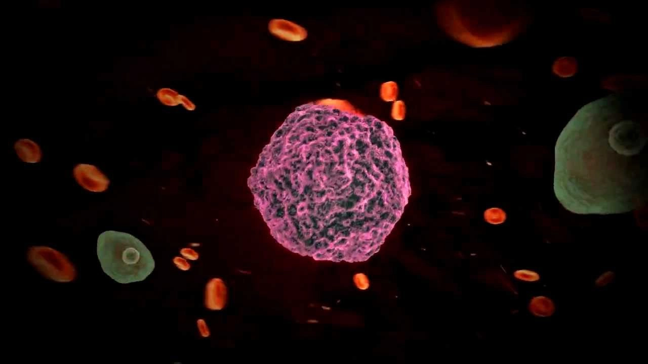 Revine febra tifoidă? O tulpină rezistentă a ceea ce se credea a fi 'boala vremurilor de demult' se răspândește din nou pe glob. Cercetătorii au lansat deja avertismente