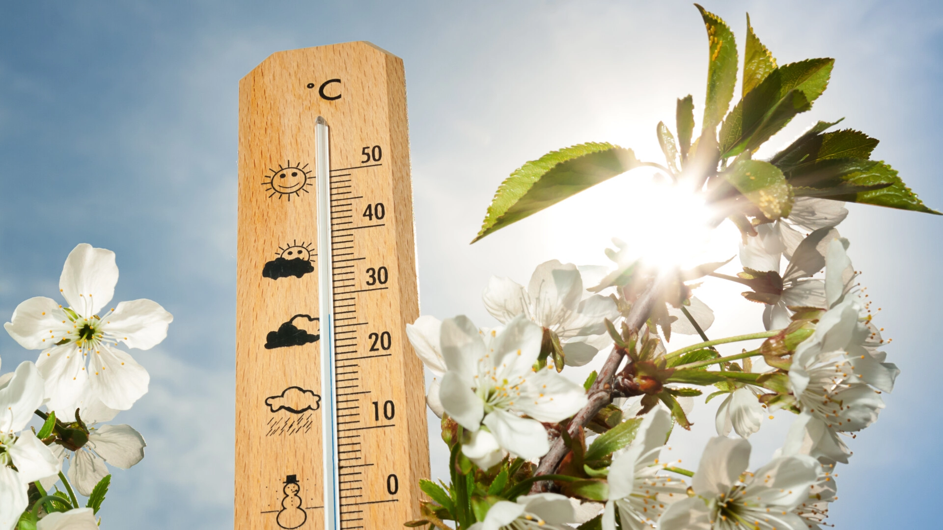 Meteorologii dau semne că vine primăvara: schimbare radicală a vremii / Prognoza pe patru săptămâni