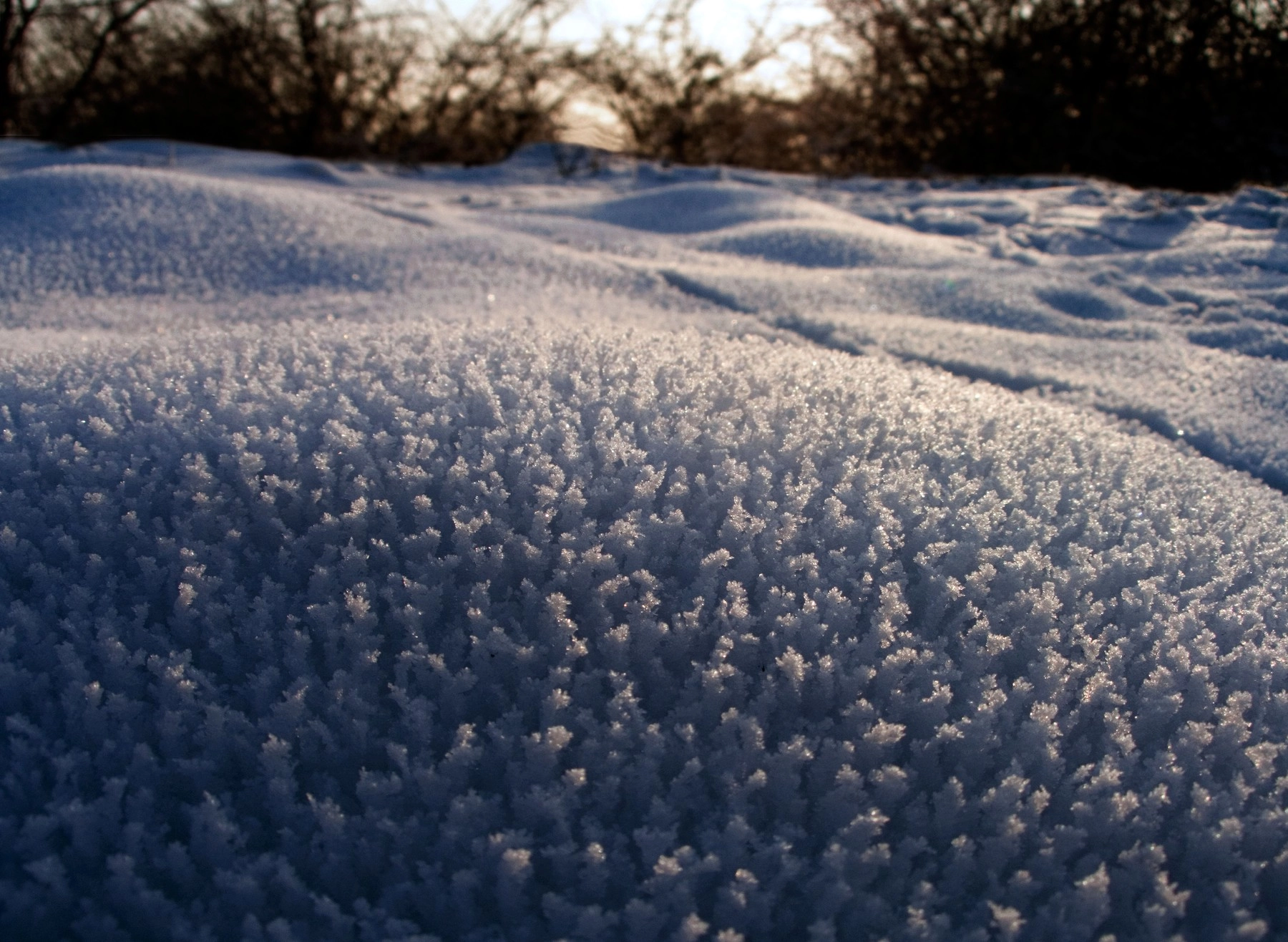 VIDEO Ninsoare în zona montană înaltă: stratul de zăpadă a ajuns la 3 centimetri la stația meteo Iezer