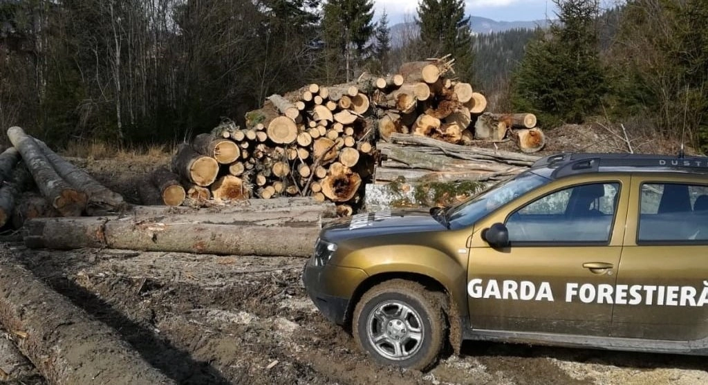 Intervenţie dificilă a salvatorilor montani pentru recuperarea unui bărbat, victimă a unui accident forestier în Maramureş