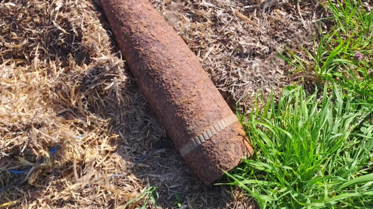 Două proiectile și sute de cartușe din Primul Război Mondial descoperite într-o pădure din Neamț