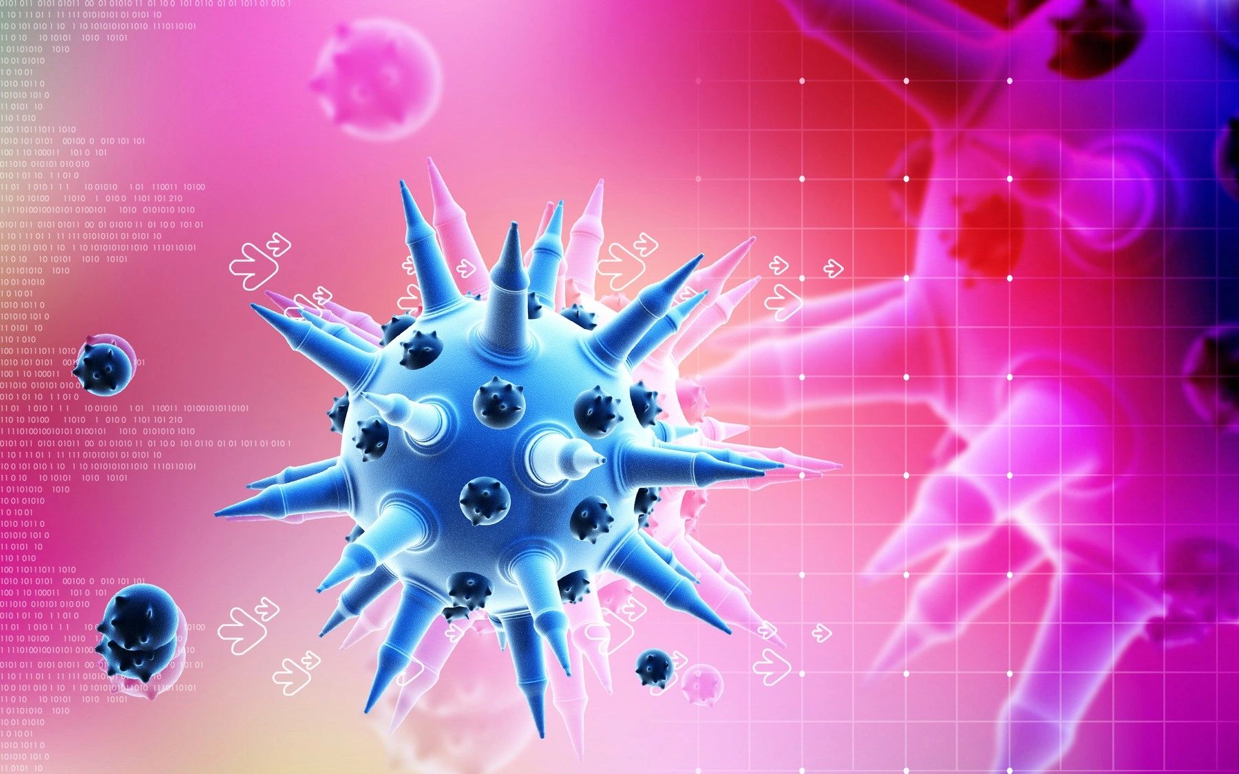 Alertă sanitară în SUA: Virusul chikungunya reapare după șase ani, primul caz local înregistrat la New York / Cum se transmite boala