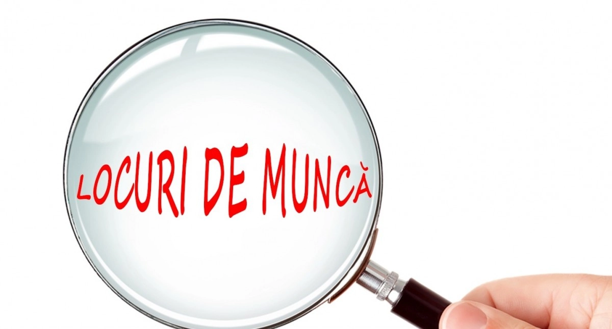 Peste 19.000 de joburi au fost oferite la Bursa locurilor de muncă pentru absolvenţi