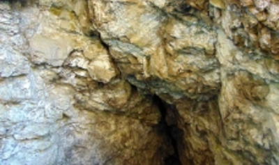 content-image