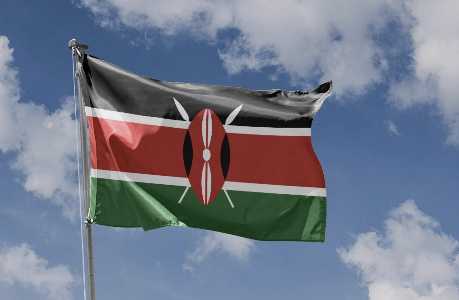 VIDEO Tragedie aviatică în Kenya - Opt unguri și doi germani au murit