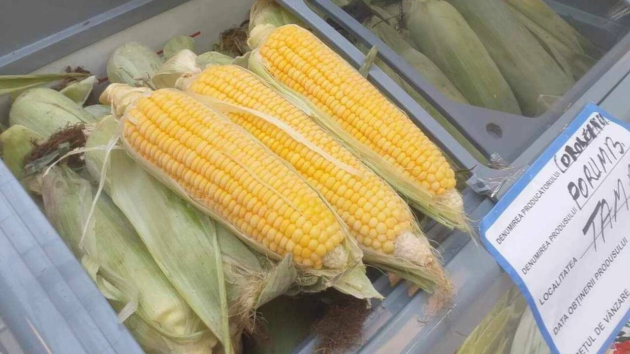 Ce beneficii are porumbul pentru organism: energie, fibre și nutrienți esențiali