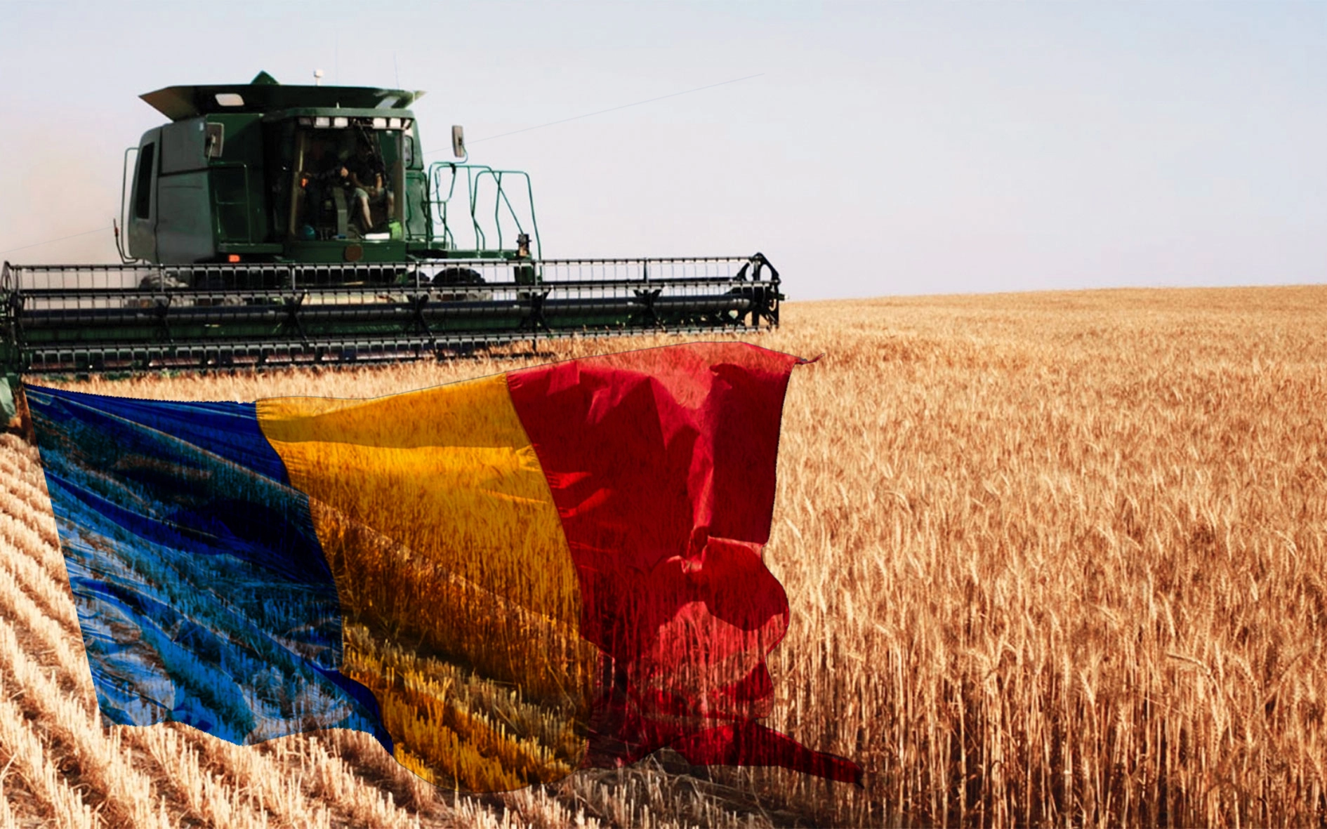 OFICIAL România redevine grânarul Europei: Comisia Europeană a publicat datele, iar țara noastră a avut rezultate peste așteptări