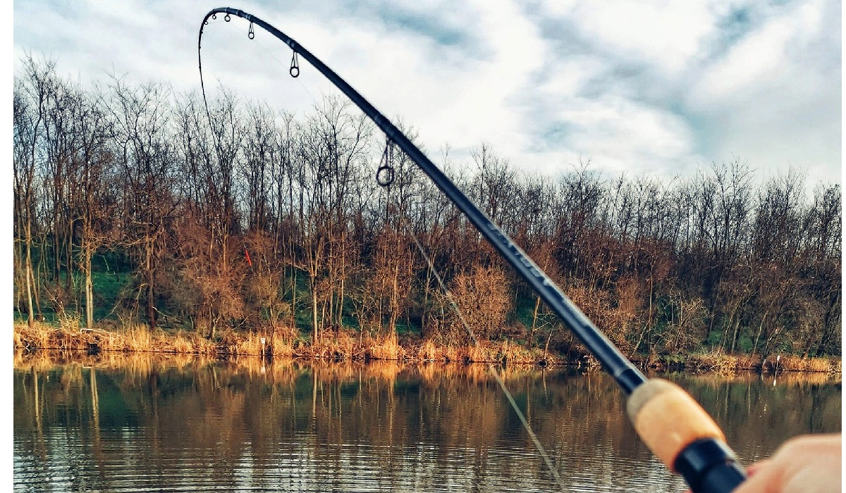 Poliţiştii de frontieră au descoperit trei sturioni prinşi în plase de pescuit, aceştia fiind eliberaţi