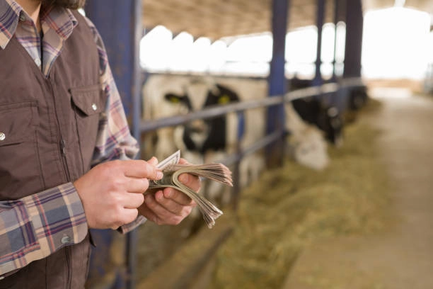 Ministerul Mediului investește 3 milioane de euro în 'ferme-model' pentru protecția solului și a apelor