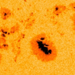 Article thumbnail