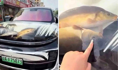 content-image