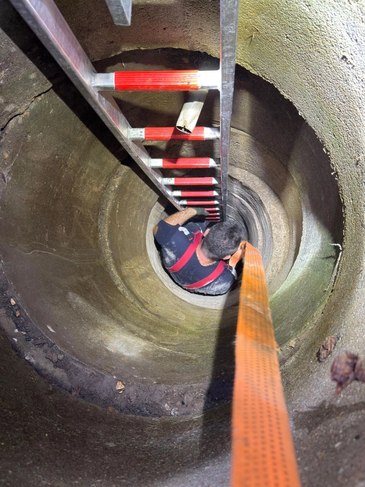 Doi căţeluşi care au căzut într-o conductă de canalizare, salvaţi de pompieri