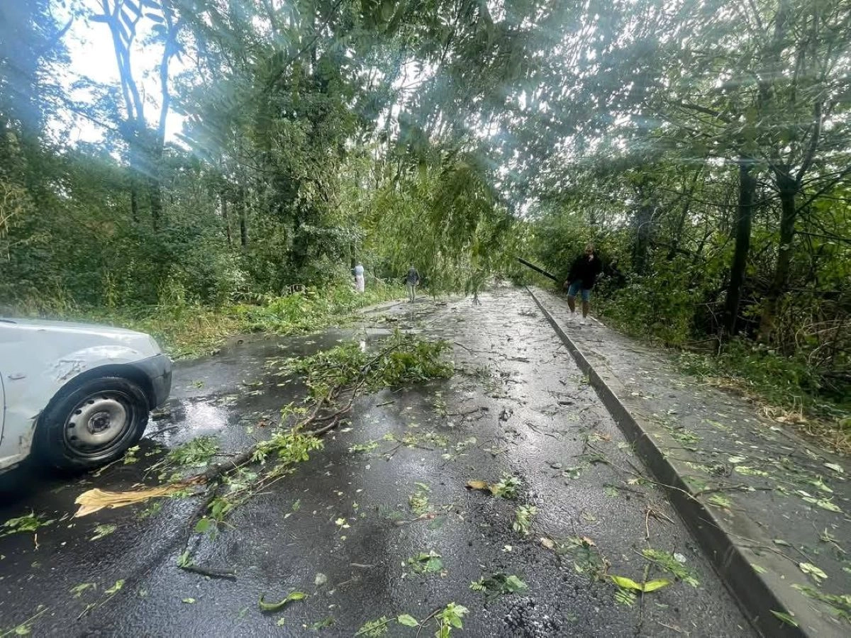 O puternică furtună a făcut prăpăd în mai multe ţări europene