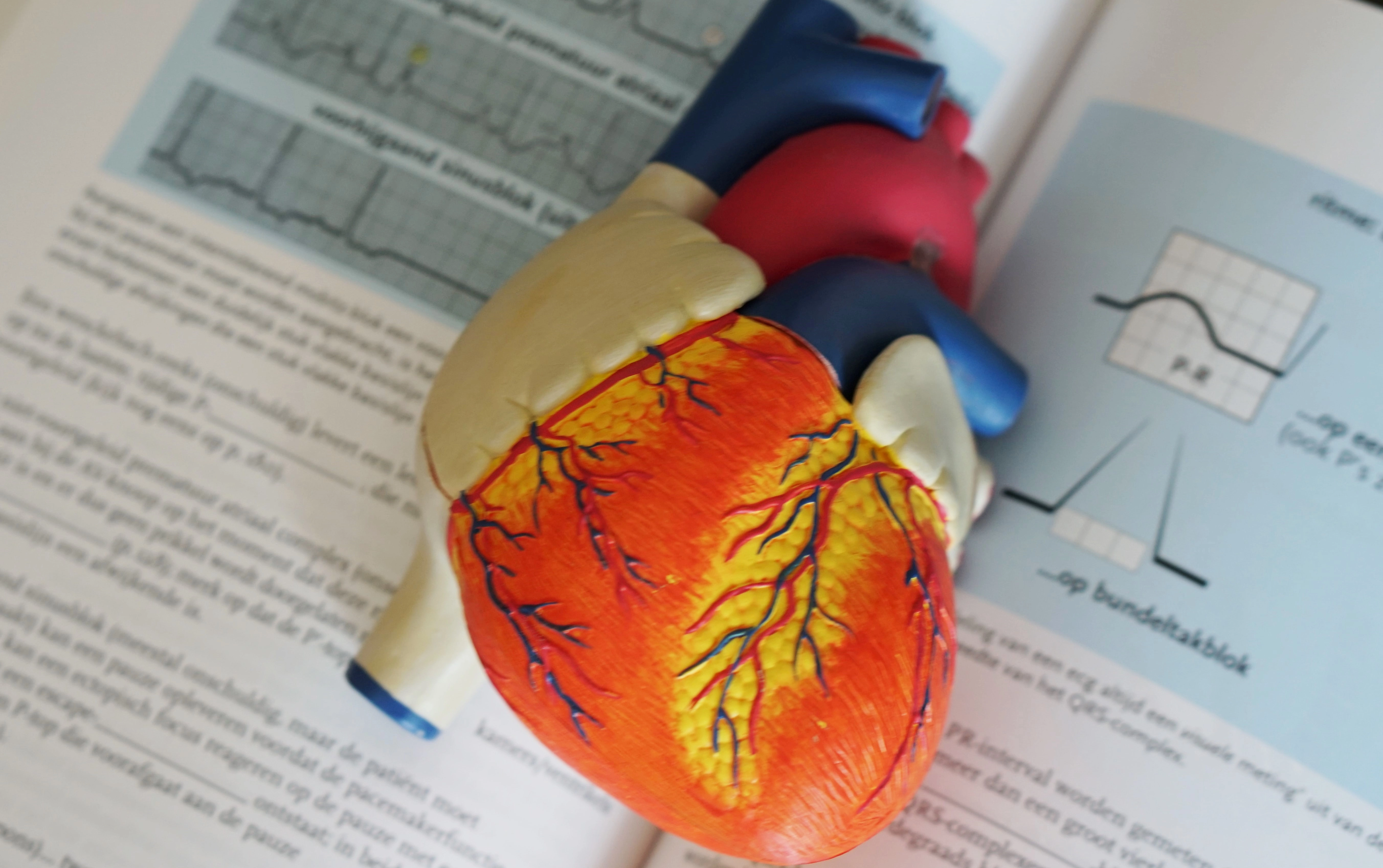 O nouă legătură între femeile care suferă de atacuri de cord