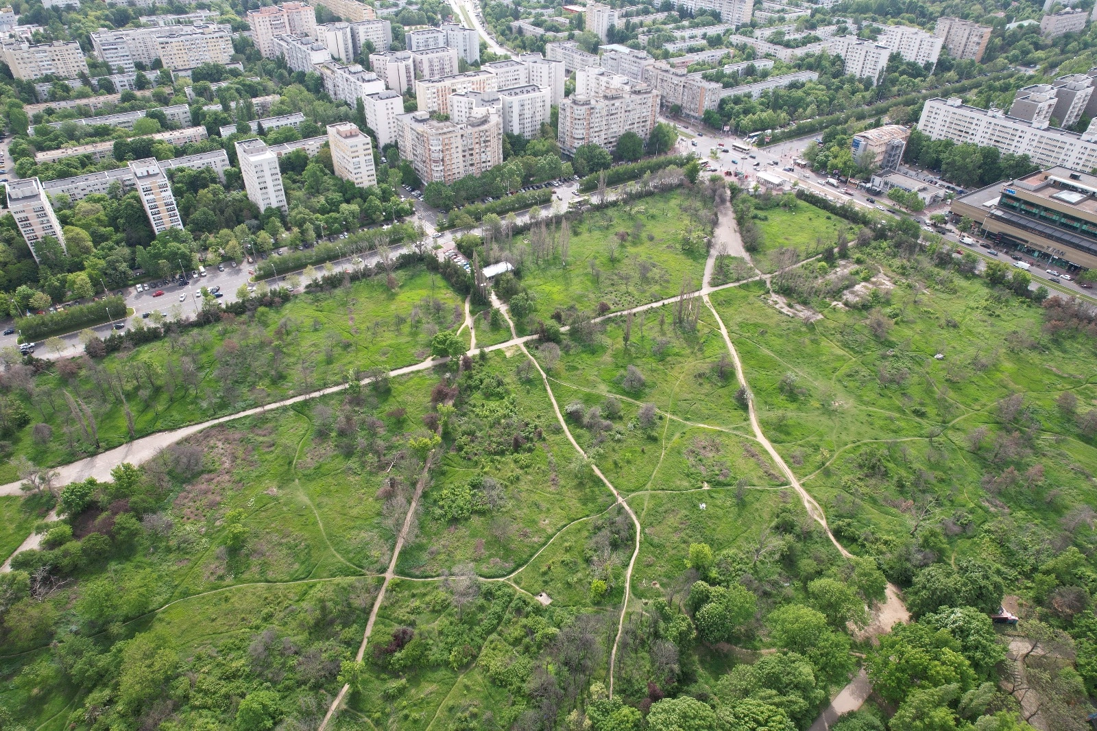 Consilierul AUR, Marco Niţă, acuză USR: 'Au puterea, dar nu salvează Parcul IOR'