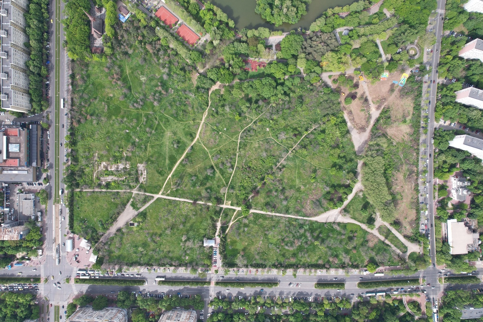 Scandal în zona retrocedată a Parcului IOR din București: Activiștii de mediu s-au dus peste administratorul terenului, polițiștii și jandarmii au intervenit de urgență