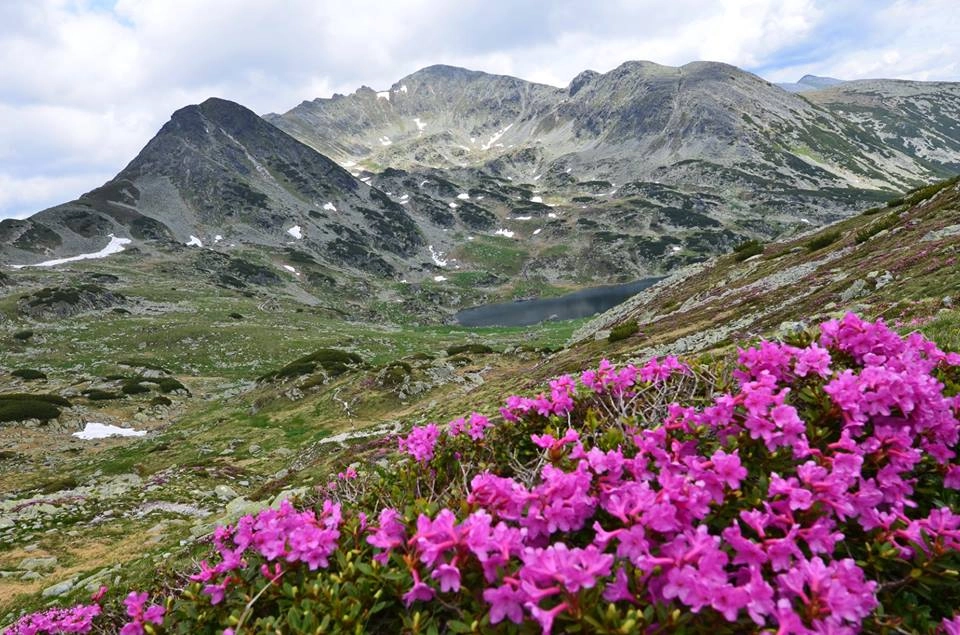 O nouă specie de dinozaur erbivor a fost descoperită în Geoparcul Internațional UNESCO