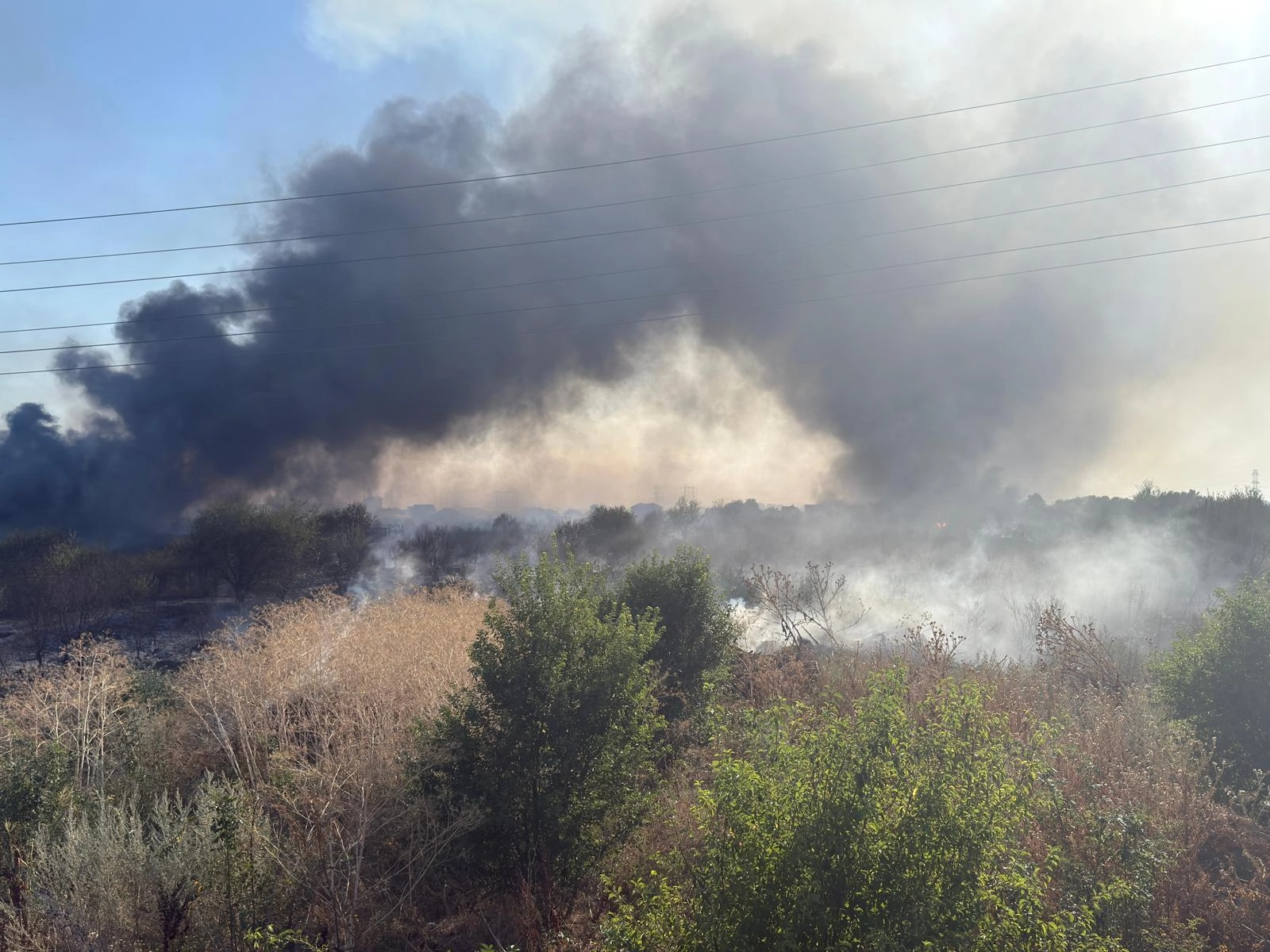 Un incendiu de vegetaţie uscată s-a extins pe o suprafaţă de patru hectare şi a distrus o rulotă