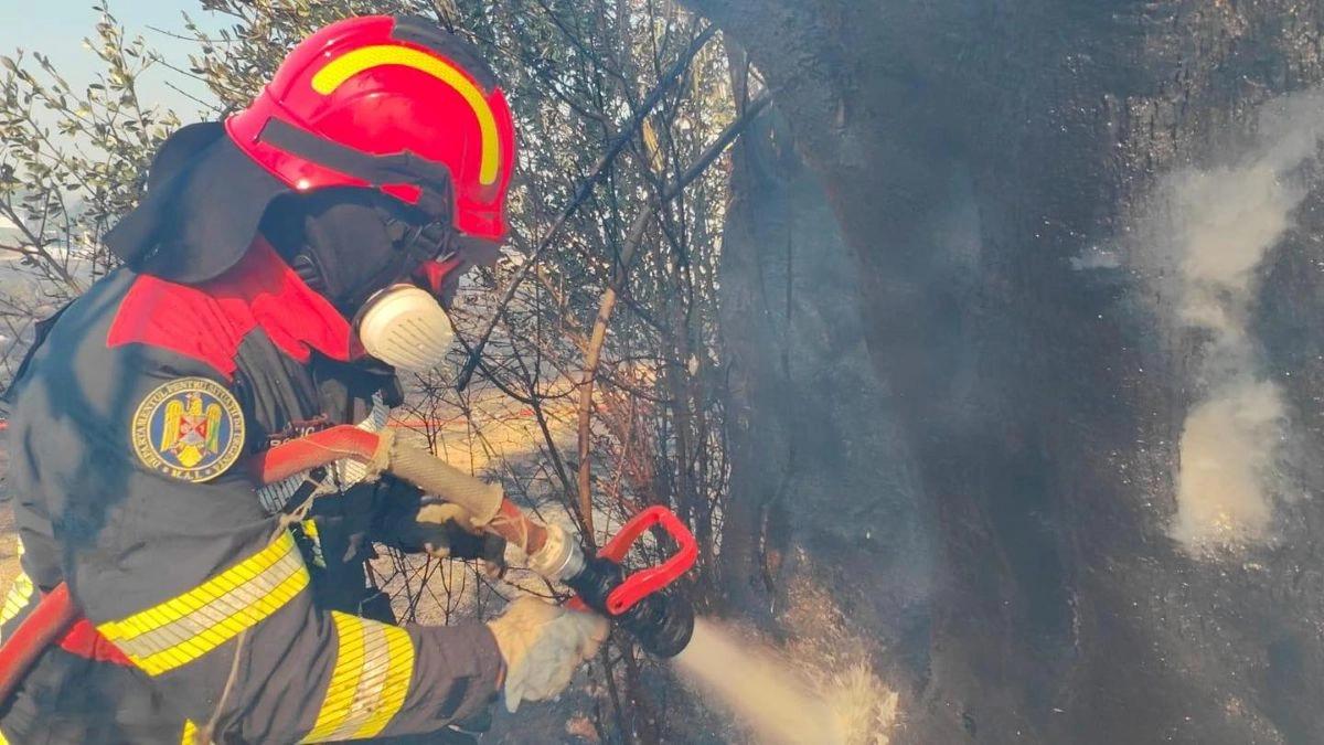 Casă mistuită de flăcări în județul Suceava; incendiul a ucis mai multe animale